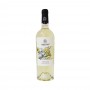 6 Bottles Vino Matronae - Pinot Grigio IGP (Abstracte)